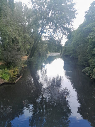 Whiteknights Park